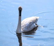 2019 03 17 Veterns MemorialPark 019